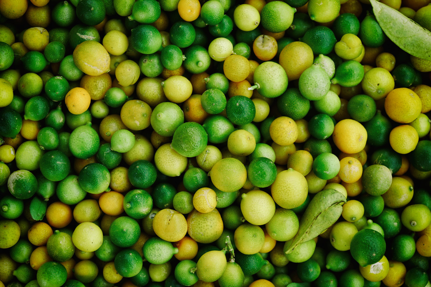 hoach-le-dinh-c8TWWQ5ZnUw-unsplash
