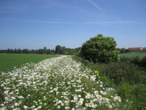 agricobio fredon 14062012 026