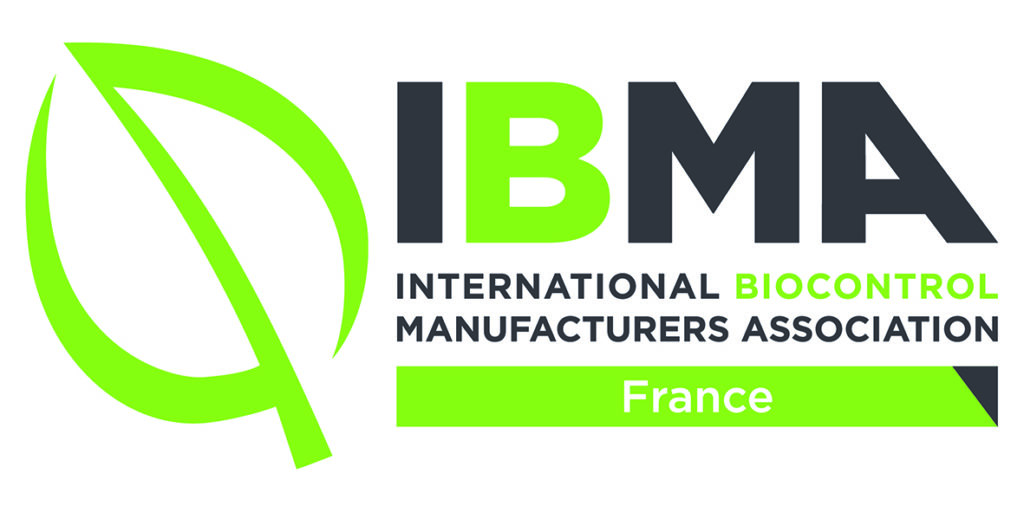 IBMA Logo Country Master